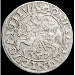 Žigmund II August, polgroš 1557, Vilnius - triplety - Behm - nepopísané