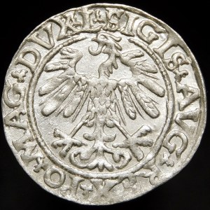 Zygmunt II August, Półgrosz 1558/5, Wilno - L/LITVA - przebitka S/IIGIS - b. rzadki