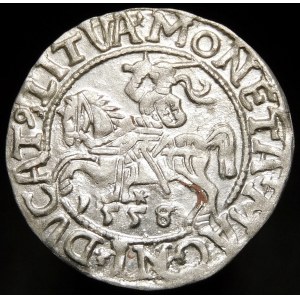 Sigismund II Augustus, Half-penny 1558/5, Vilnius - L/LITVA - punch S/IIGIS - very rare