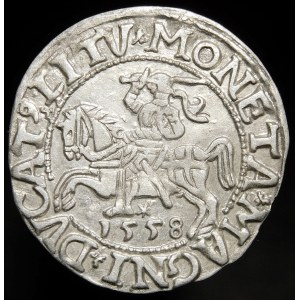 Sigismund II Augustus, Half-penny 1558, Vilnius - LI/LITV