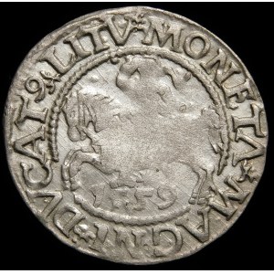 Sigismund II Augustus, Half-penny 1559, Vilnius - L/LITV - A without crossbar - rare