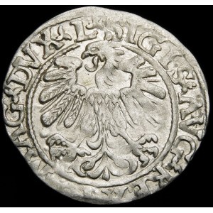 Zygmunt II August, Półgrosz 1559, Wilno - L/LITVA - A bez poprzeczki - rzadki