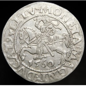 Žigmund II August, polgroš 1560, Vilnius - DVX L/LITV