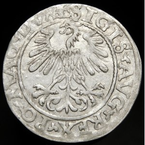 Žigmund II August, polgroš 1560, Vilnius - DVX L/LITV