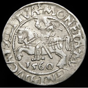 Sigismund II Augustus, Half-penny 1560, Vilnius - DVX L/LITVA