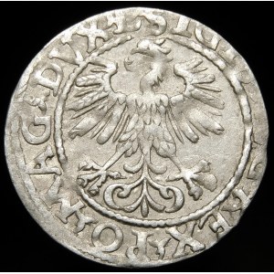 Zygmunt II August, Półgrosz 1560, Wilno - DVX L/LITVA