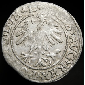 Žigmund II August, polgroš 1560, Vilnius - DVX L/LITVA - rozeta - vzácny