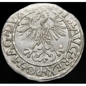 Sigismund II Augustus, Half-penny 1561, Vilnius - 13 Eagle, LI/LITV