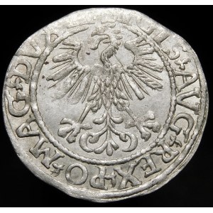 Sigismund II Augustus, Halbpfennig 1561, Wilna - 13 Adler, LI/LITV