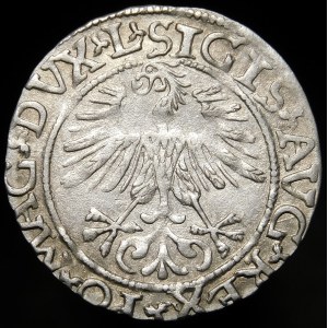 Sigismund II Augustus, Half-penny 1561, Vilnius - 14 Eagle, L/LITV