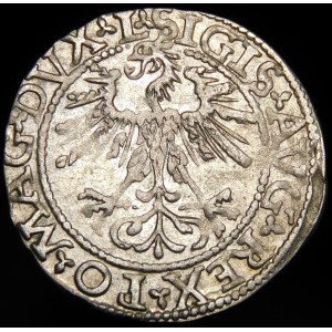 Žigmund II August, polgroš 1562, Vilnius - 17 Pogon, L/LITVA