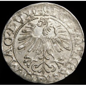 Sigismund II Augustus, Half-grosz 1562, Vilnius - 18 Pogon, L/LITV