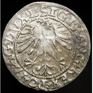 Zygmunt II August, Półgrosz 1562, Wilno - 18 Pogoń, L/LITV - bez 9