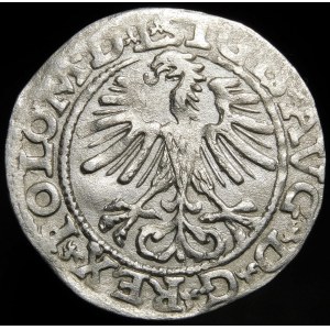 Sigismund II Augustus, Half-penny 1564, Vilnius - 21 Pogon, Axe, L/LITV