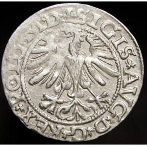 Sigismund II Augustus, Half-penny 1565, Vilnius - 22 Pogon, Axe, L/LITV