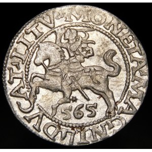 Sigismund II Augustus, Half-penny 1565 Vilnius - 22 Pogon, Axe, LI/LITV