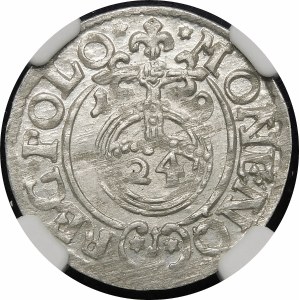 Sigismund III. Vasa, Półtorak 1619, Bydgoszcz - Sachse im ovalen Schild