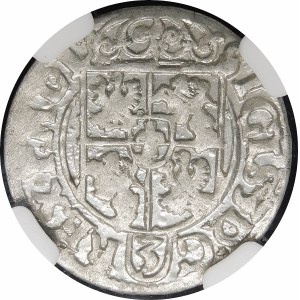 Sigismund III. Vasa, Półtorak 1619, Bydgoszcz - Sachse im ovalen Schild