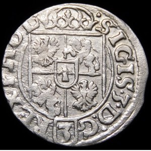 Sigismund III Vasa, Half-track 1618, Bydgoszcz - a POLOO curiosity