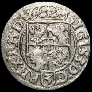 Sigismund III. Vasa, Halbspur 1619, Bydgoszcz - ein Kuriosum
