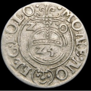 Sigismund III Vasa, Half-track 1620, Bydgoszcz - Saxon in oval shield, Z-0