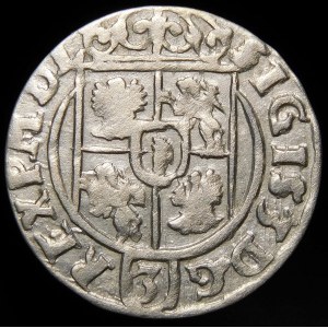 Sigismund III. Vasa, Halbspur 1623, Bydgoszcz - ein Kuriosum