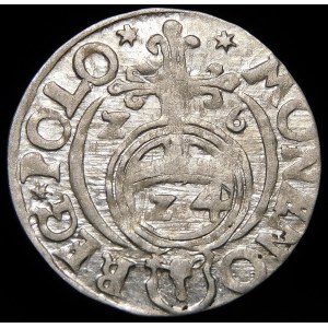 Sigismund III Vasa, Half-track 1626, Bydgoszcz - Half-horse in decorative shield - Z-6