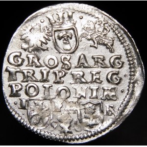 Žigmund III Vaza, Trojak 1596, Poznaň - nepopísané