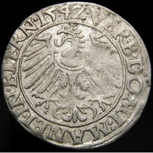 Silesia - Duchy of Legnica and Brest, Frederick II, Penny 1542, Legnica