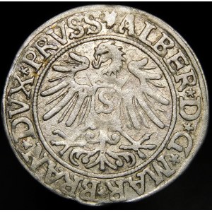 Prusy Książęce, Albrecht Hohenzollern, Grosz 1535, Królewiec