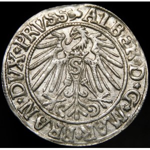 Ducal Prussia (1525-1657), Albrecht Hohenzollern (1490-1568), AAlbrecht von Brandenburg-Ansbach (1525-1568), Grosz Königsberg 1543