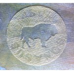 Polish bison (2019) - SC - PWPW test bill