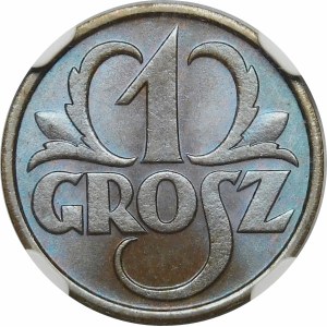 1 grosz 1933 - WYJĄTKOWA