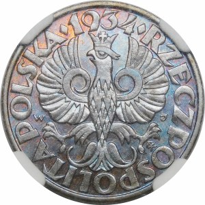 5 pennies 1934 - EXCLUSIVE