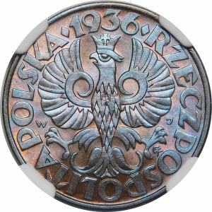 5 centov 1936