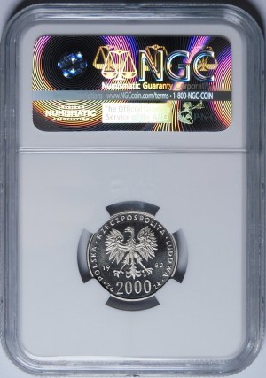 NIKIEL 2000 gold 1980, Boleslaw I the Brave - bust