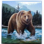 Kanada, $100 2014, medveď grizli - originálna krabica