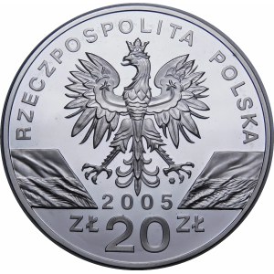 20 złotych 2005 Puchacz