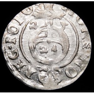 Sigismund III Vasa, Half-track 1623, Bydgoszcz - Saxon in oval shield