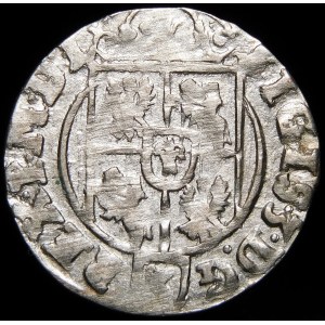 Zikmund III Vasa, Półtorak 1623, Bydgoszcz - Sas v oválném štítu