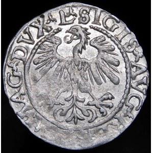 Zygmunt II August, Półgrosz 1559, Wilno - L/LITVA