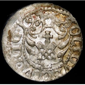 Sigismund III Vasa, 1619 Riga shield type 7 - very rare and beautiful