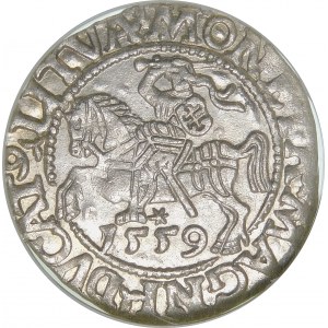 Žigmund II August, polgroš 1559, Vilnius - L/LITVA - krásna