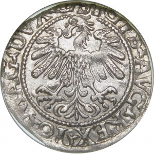 Žigmund II August, polgroš 1559, Vilnius - L/LITVA - krásna