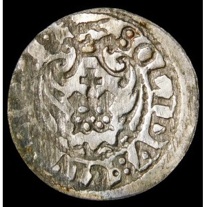 Sigismund III Vasa, Shelby 1619/8, Riga - rare