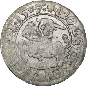 Sigismund I. der Alte, Halbpfennig 1509, Vilnius - Herold ohne Scheide - Punkt - Doppelpunkte - sehr selten