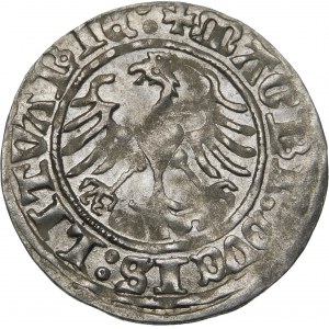 Zygmunt I Stary, Półgrosz 1513, Wilno - dwukropki - piękny