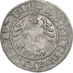Sigismund I the Old, Half-penny 1518, Vilnius - error, MONTEA - rare