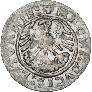 Sigismund I. der Alte, Halbpfennig 1519, Vilnius - Fehler, MONFTA - selten