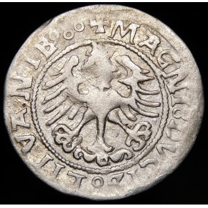 Sigismund I. der Alte, Halbpfennig 1522, Vilnius - Punkt - Datumsstempel I/:5ZZ - sehr selten